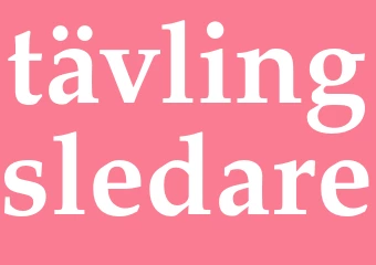 Synonym tävlingsledare