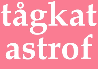 Synonym tågkatastrof