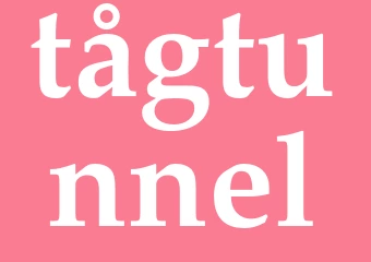 Synonym tågtunnel