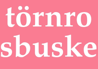 Synonym törnrosbuske