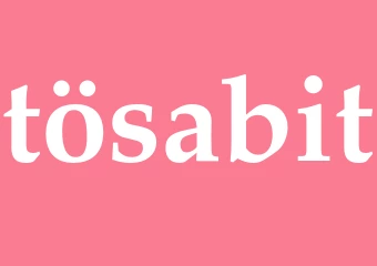 Synonym tösabit
