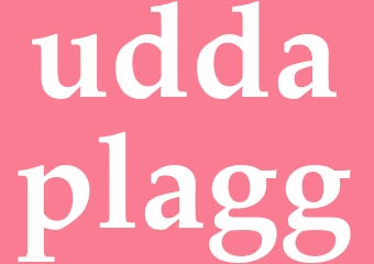 Synonym uddaplagg