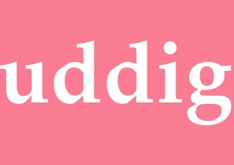 Synonym uddig