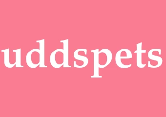 Synonym uddspets