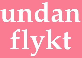 Synonym undanflykt