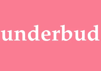 Synonym underbud