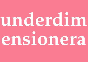 Synonym underdimensionera
