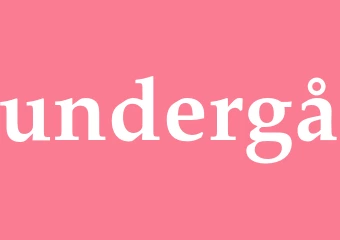 Synonym undergå