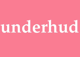 Synonym underhud