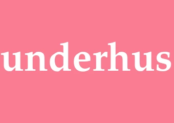 Synonym underhus