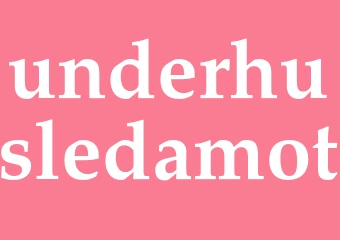 Synonym underhusledamot