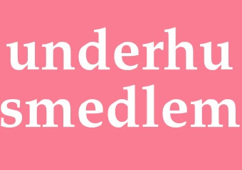 Synonym underhusmedlem