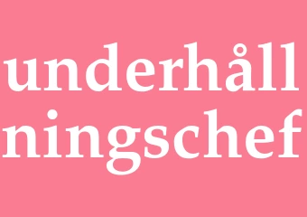 Synonym underhållningschef