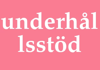 Synonym underhållsstöd