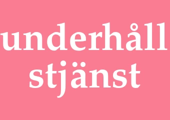 Synonym underhållstjänst