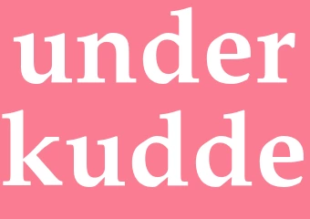 Synonym underkudde