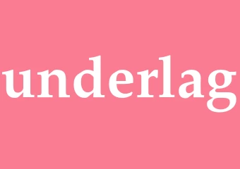 Synonym underlag