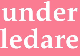 Synonym underledare