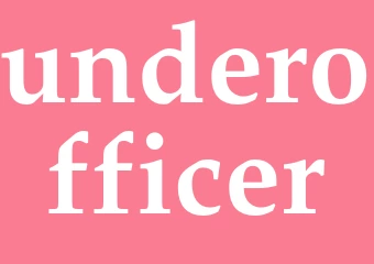 Synonym underofficer