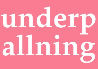 Synonym underpallning