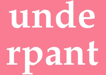 Synonym underpant