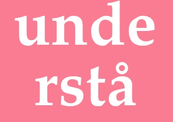 Synonym understå