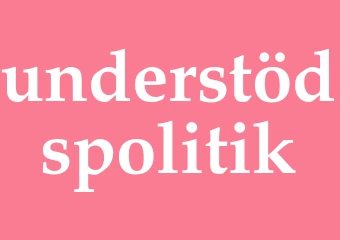 Synonym understödspolitik