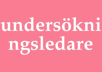Synonym undersökningsledare