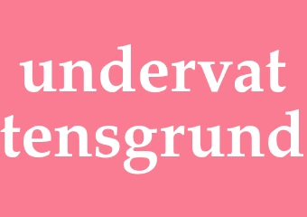 Synonym undervattensgrund