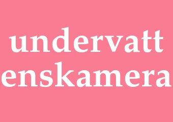 Synonym undervattenskamera