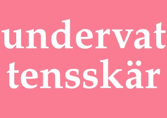 Synonym undervattensskär