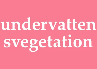 Synonym undervattensvegetation