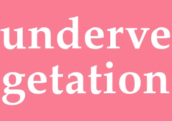 Synonym undervegetation