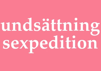 Synonym undsättningsexpedition