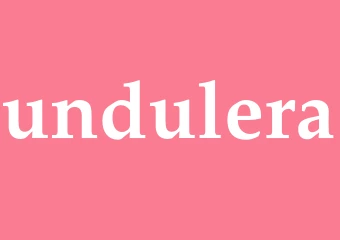 Synonym undulera