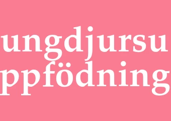 Synonym ungdjursuppfödning