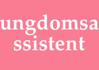 Synonym ungdomsassistent