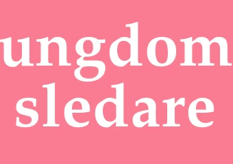 Synonym ungdomsledare