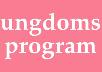 Synonym ungdomsprogram