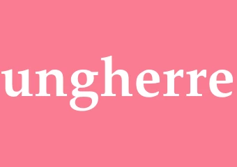 Synonym ungherre