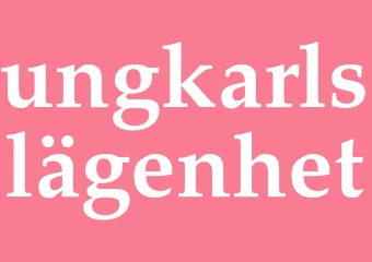 Synonym ungkarlslägenhet