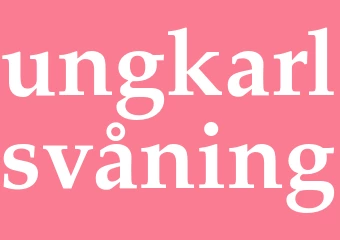 Synonym ungkarlsvåning