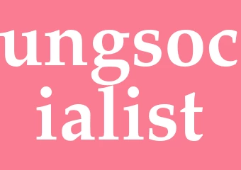 Synonym ungsocialist