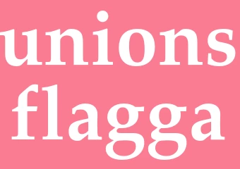 Synonym unionsflagga