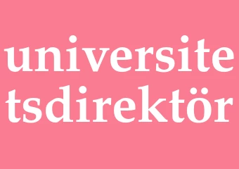 Synonym universitetsdirektör