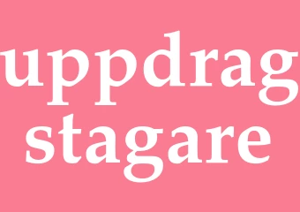Synonym uppdragstagare