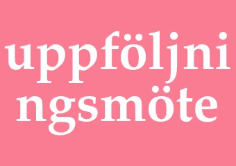 Synonym uppföljningsmöte