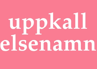 Synonym uppkallelsenamn
