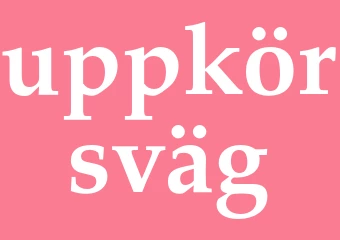 Synonym uppkörsväg