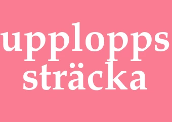 Synonym upploppssträcka